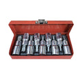 10PCS Torx-style star bit set with chrome sockets and storage case