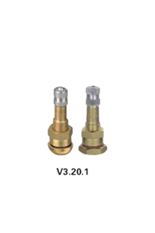 V3.20.1 Truck Valve
