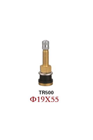 TRV573: TR500 Truck Valve (10 pcs)